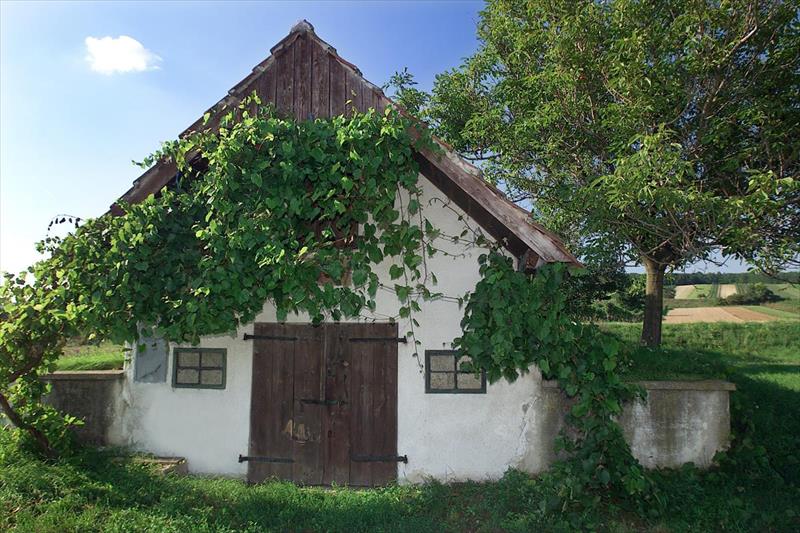 Altes Kloster (Hainburg An Der Donau)