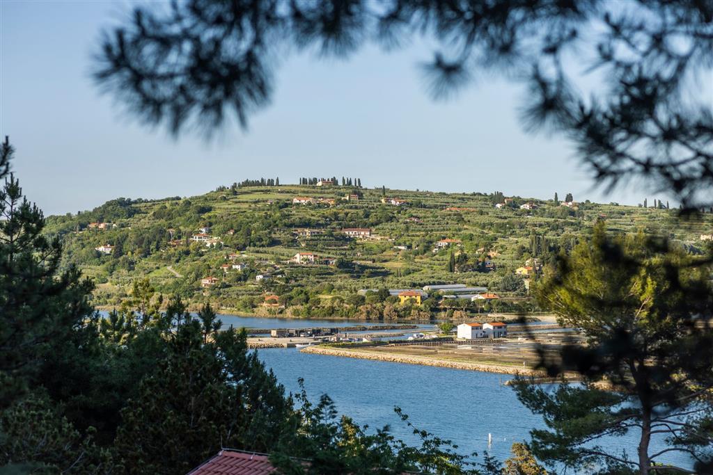 Apartmány Salinera