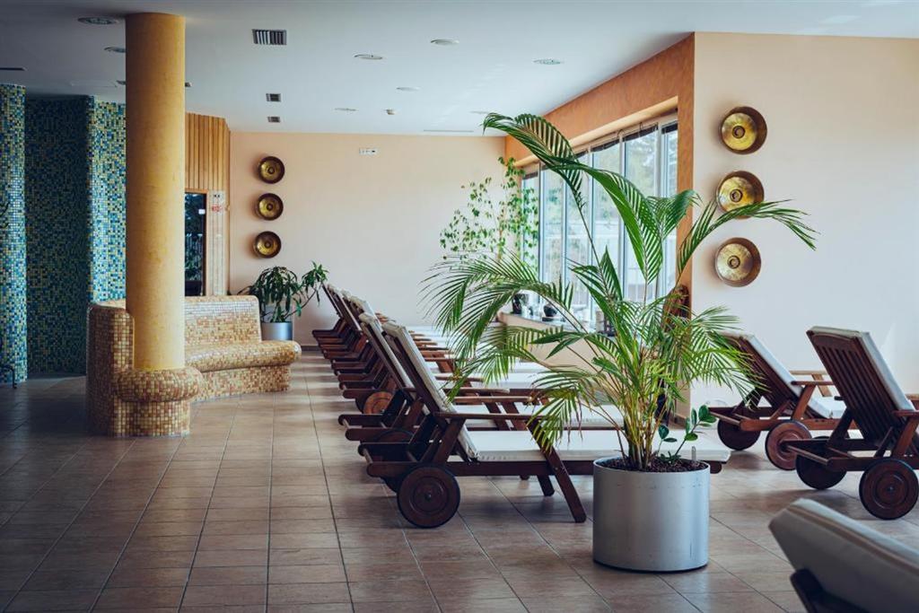 Hotel Forest Videc