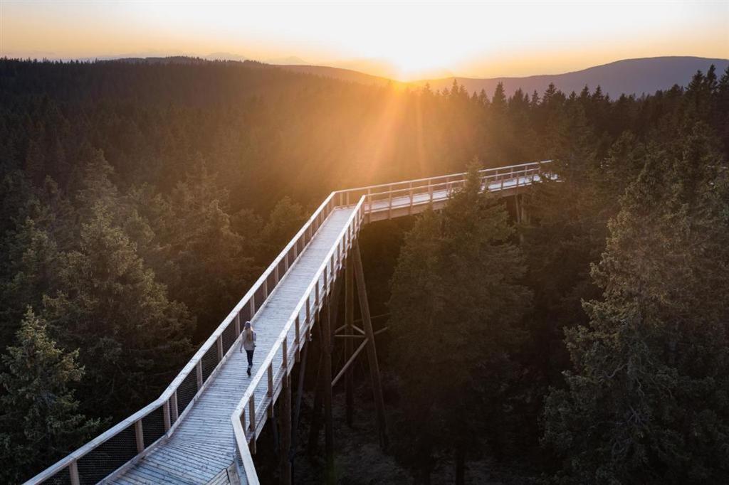 Hotel Forest Videc