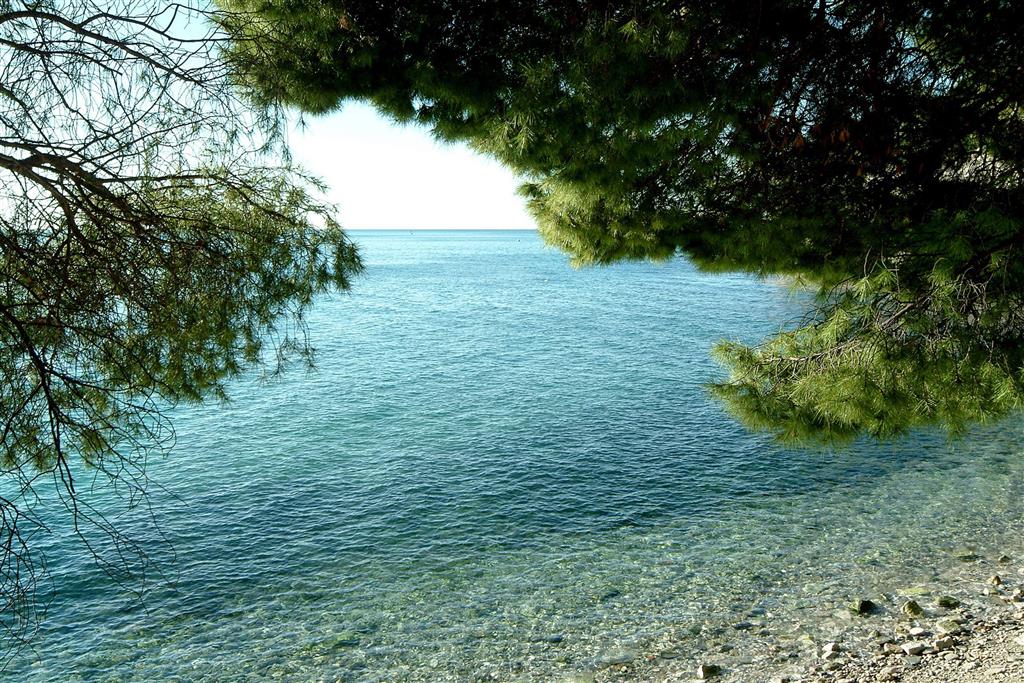 Hotel Laguna Rožmarin