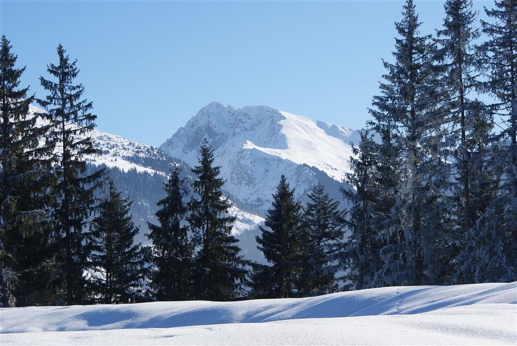 Ferienhotel Alpenhof