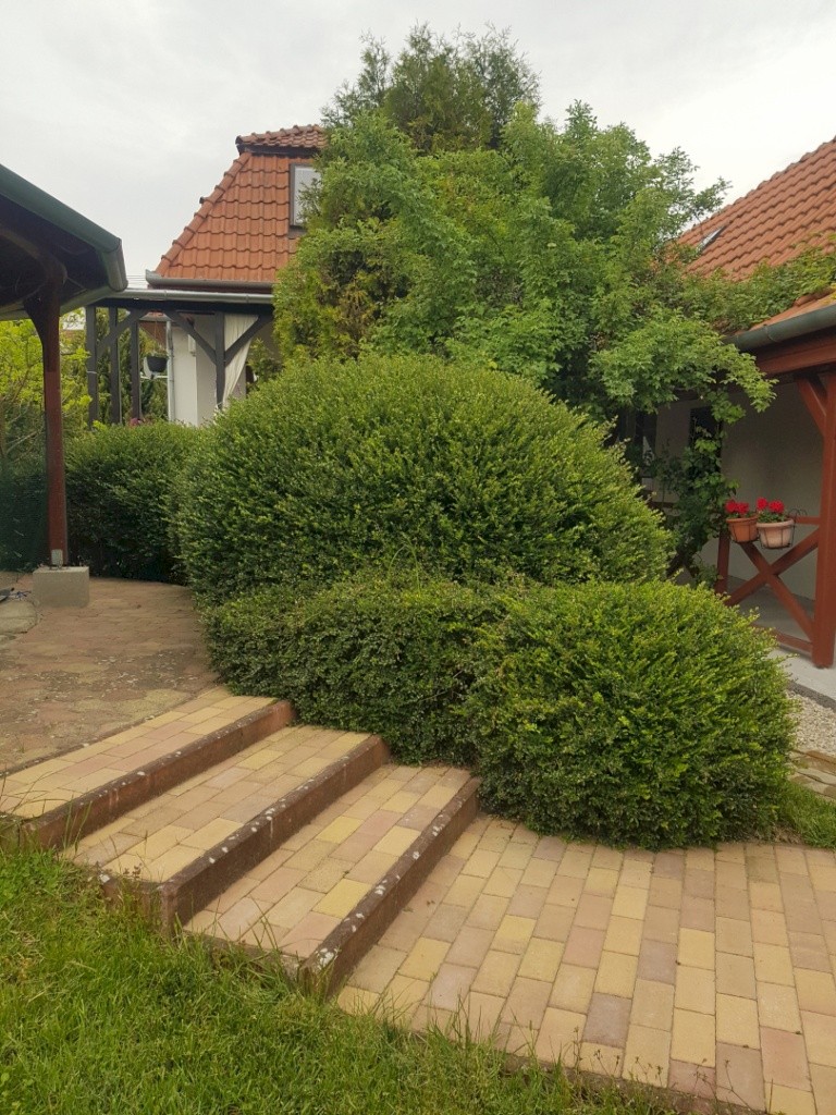 Penzion Kétpáva (Igal)
