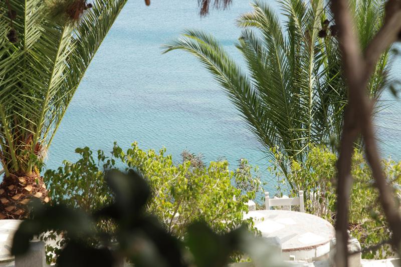 Elena's Beach Garden