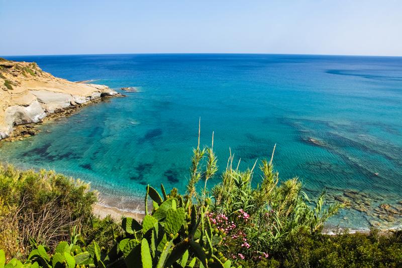 Elena's Beach Garden