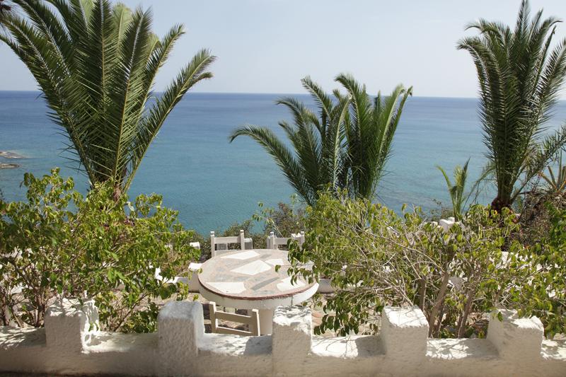 Elena's Beach Garden