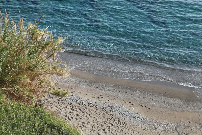Elena's Beach Garden