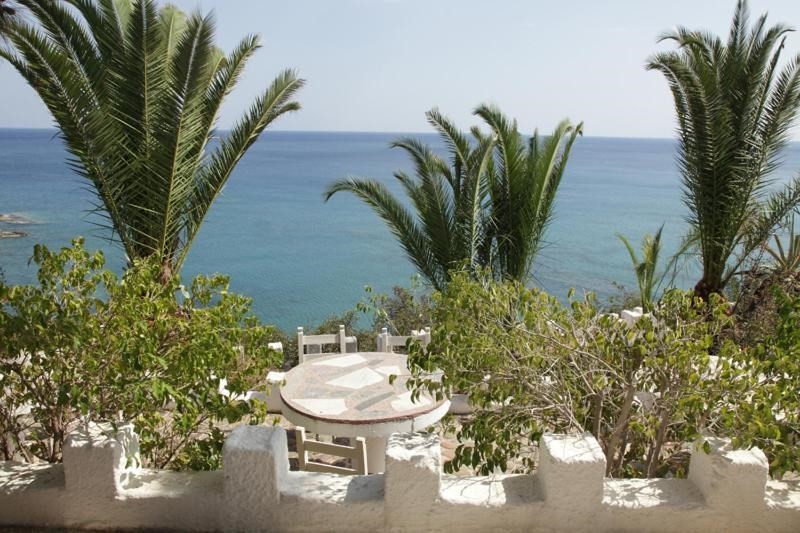 Elena's Beach Garden