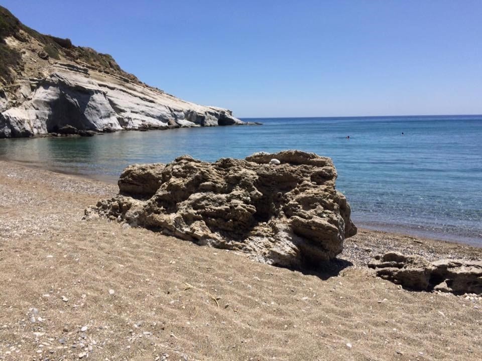 Elena's Beach Garden