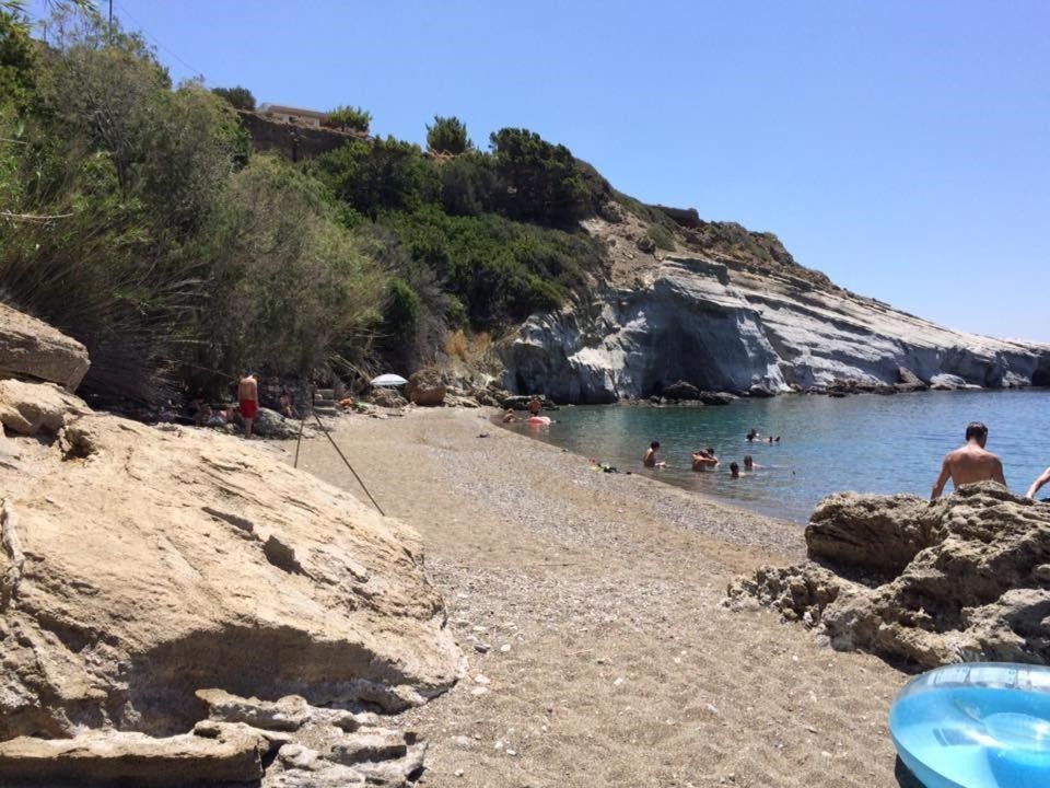 Elena's Beach Garden