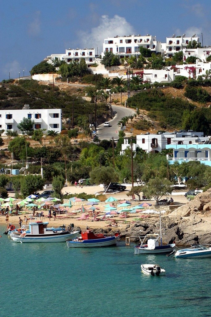 Albatros (Amopi)