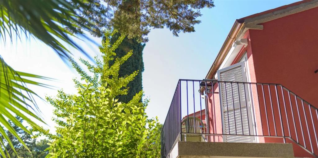 Vily Svoboda
