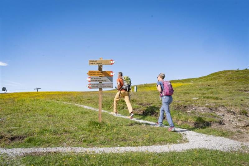 Olangerhof Mountain Resort (Olang)