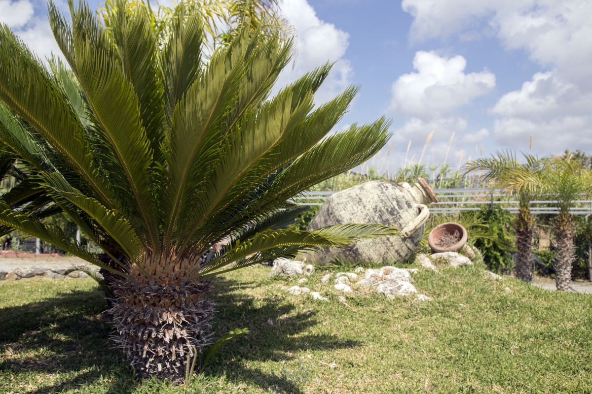 Luzia Agriresort