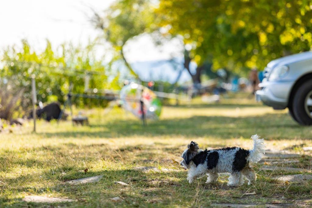 Kemp Balatontourist Strand-Holiday