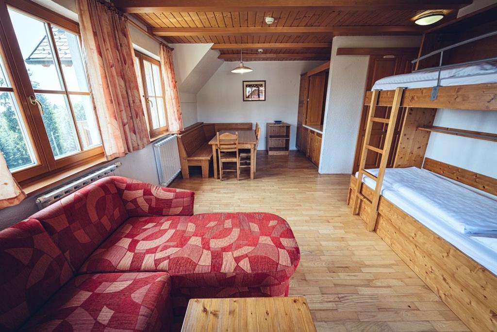 Forest Hotel Videc (apartmány)