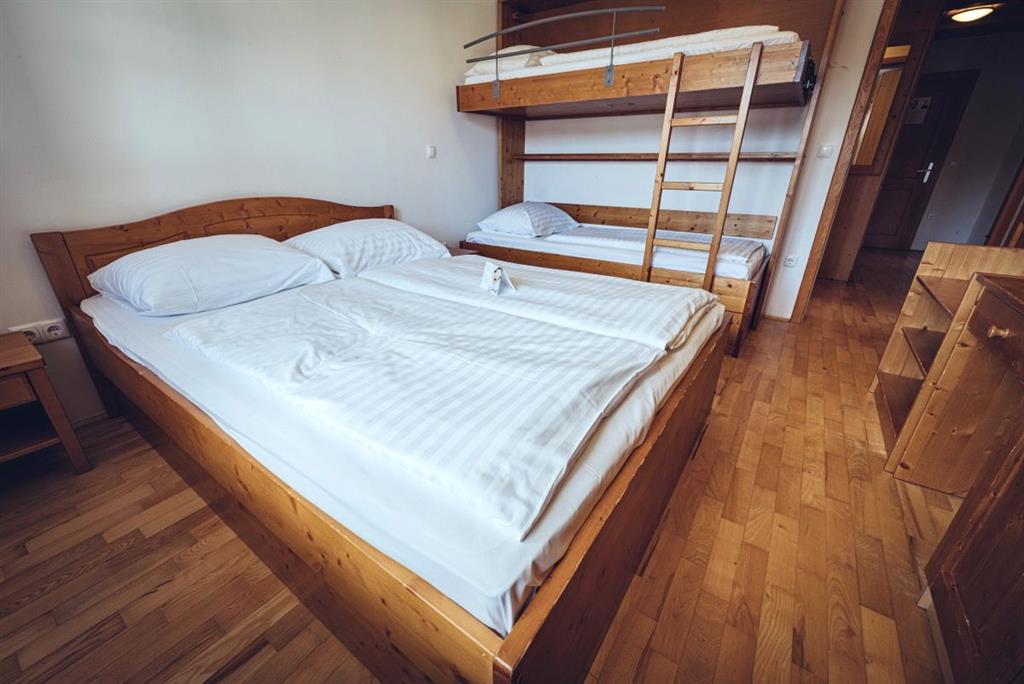 Forest Hotel Videc (apartmány)