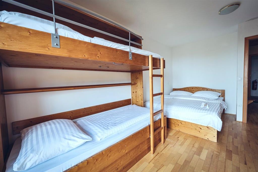 Forest Hotel Videc (apartmány)