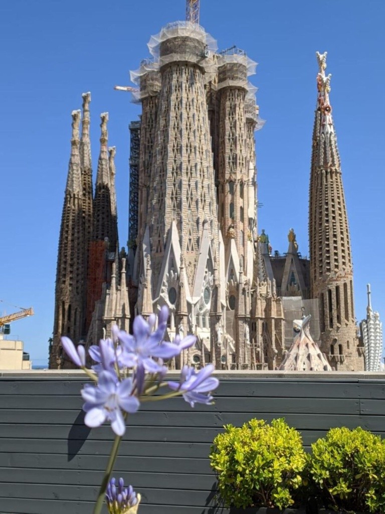 Sensation Sagrada Familia