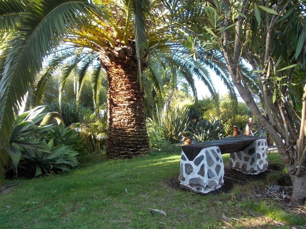 La Palma Romantica (Barlovento)