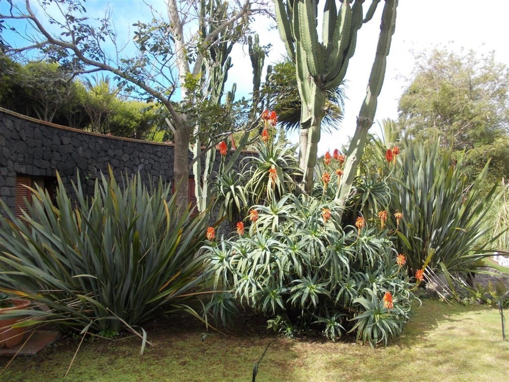 La Palma Romantica (Barlovento)
