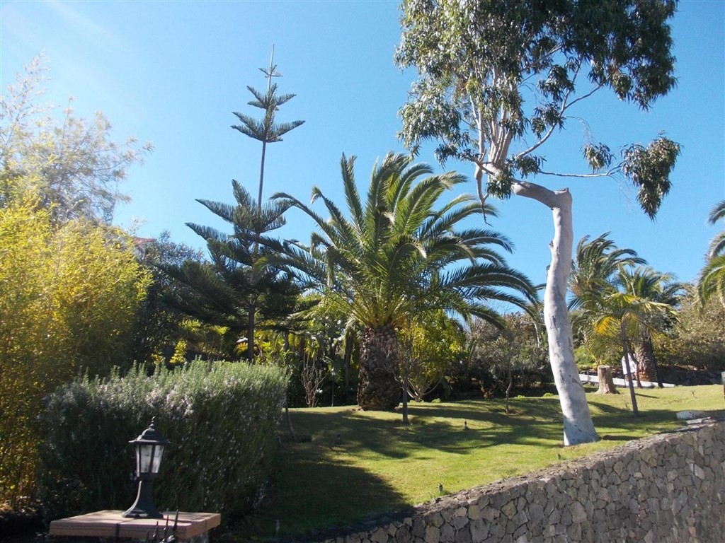 La Palma Romantica (Barlovento)
