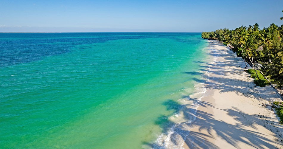 Sunny Palms Beach Bungalows