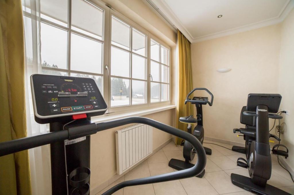 Th Hotel Greif