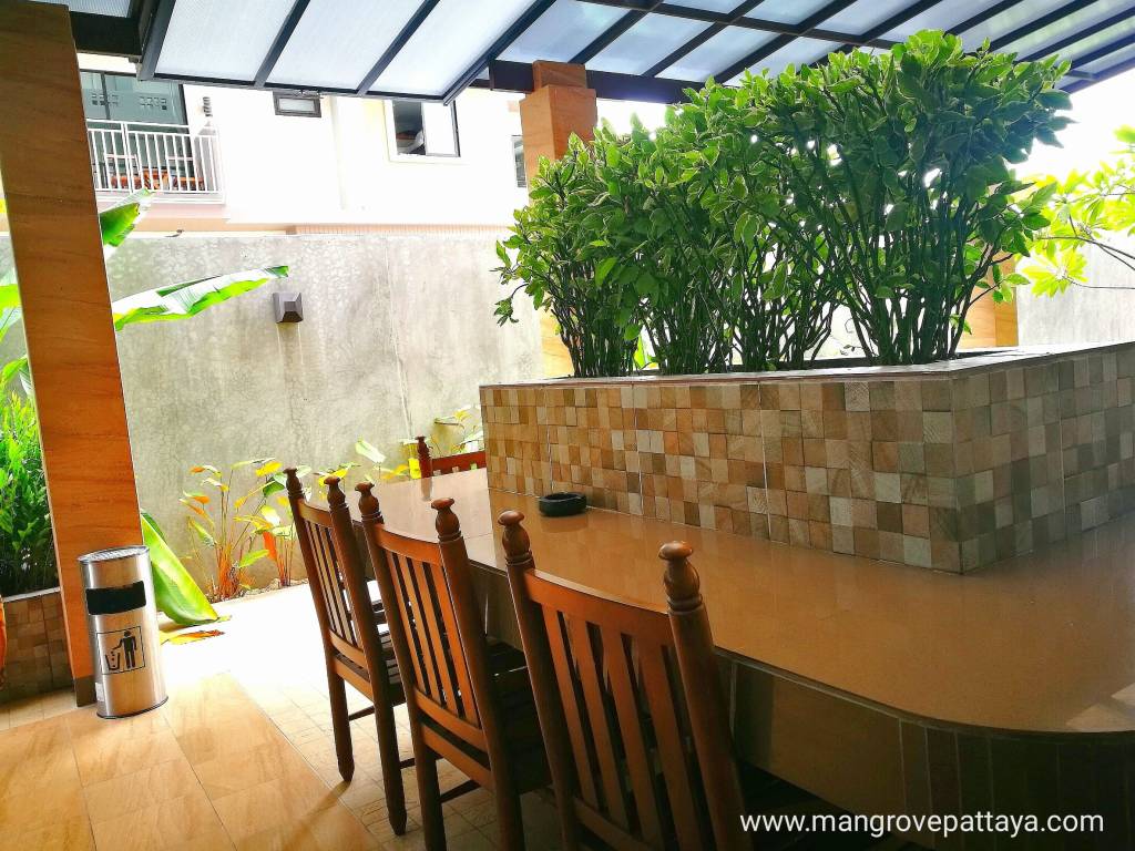 The Mangrove