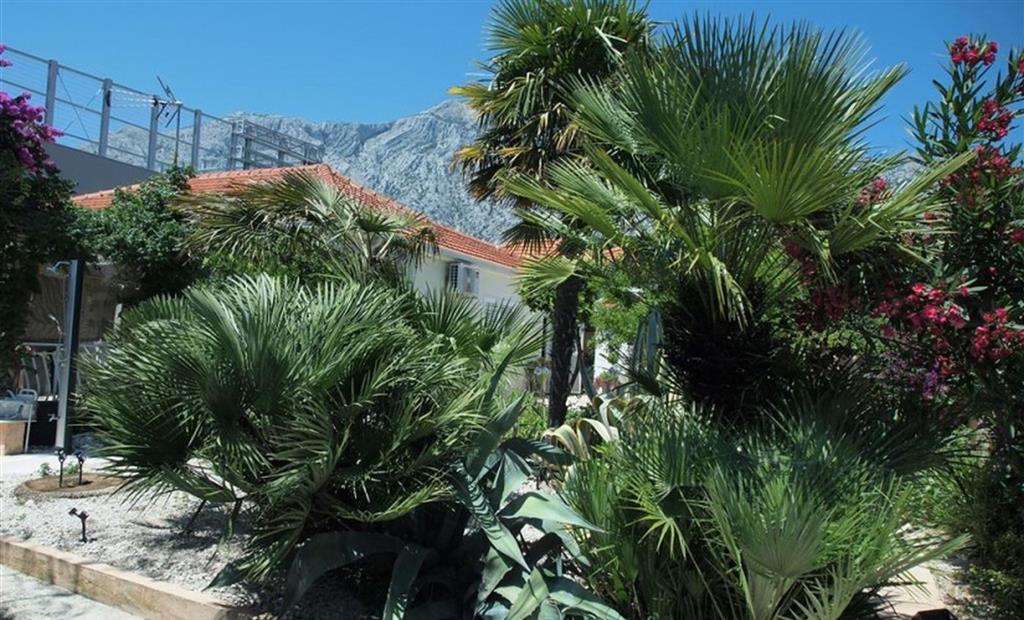 Villa Lelija (Orebič)