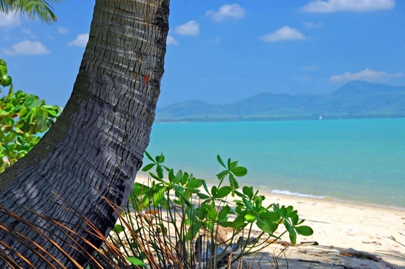 Village Coconut Island