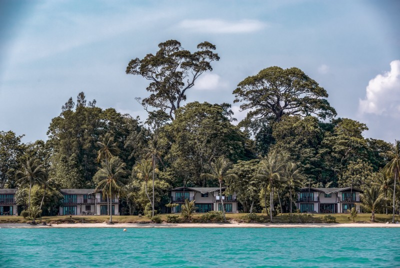 Village Coconut Island