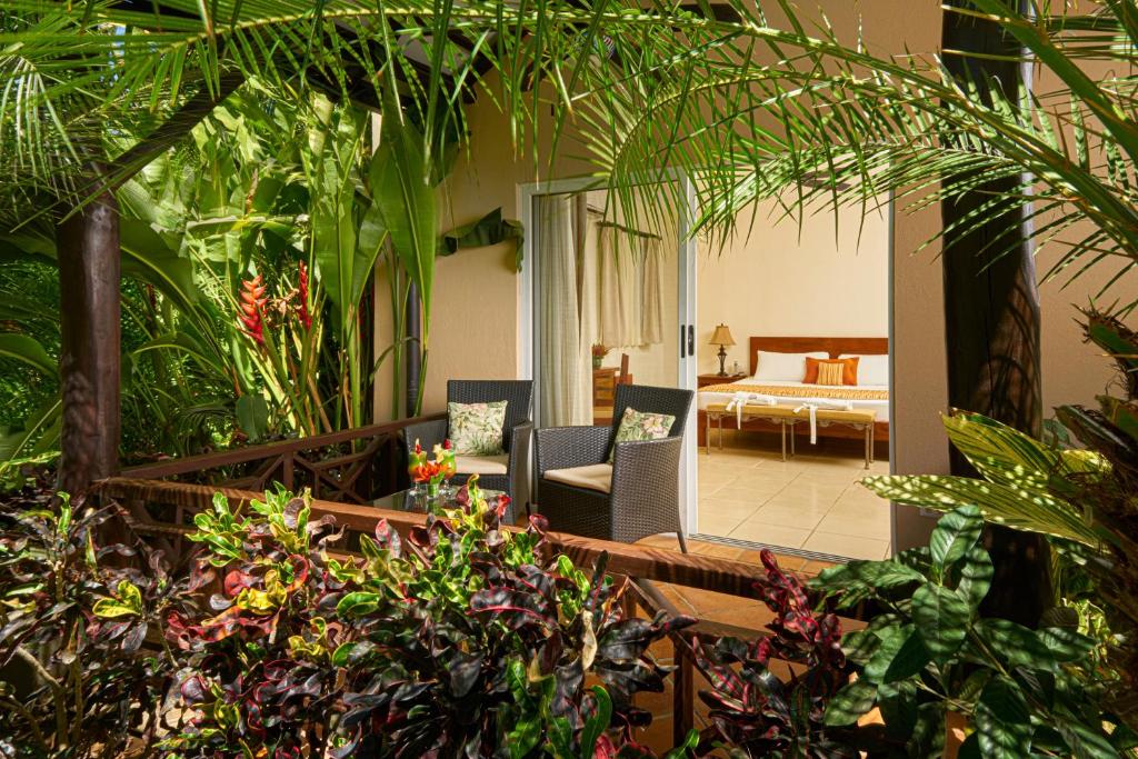 El Jardin Del Eden