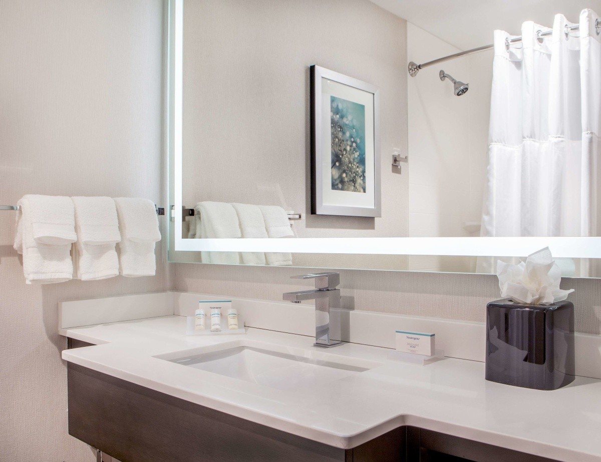 Hilton Garden Inn Nyc Financial Center / Manhattan Downtown