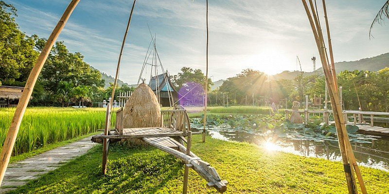 Naina Resort & Spa