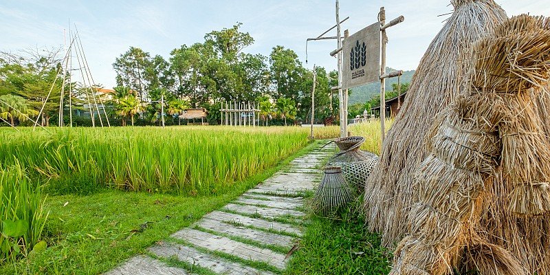 Naina Resort & Spa