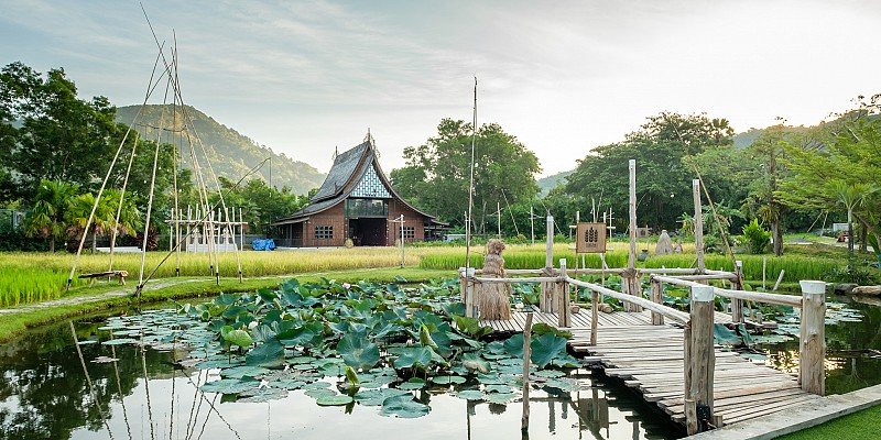 Naina Resort & Spa