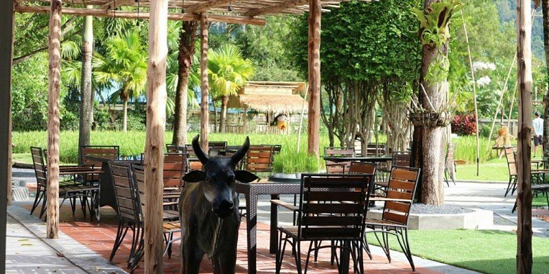 Naina Resort & Spa