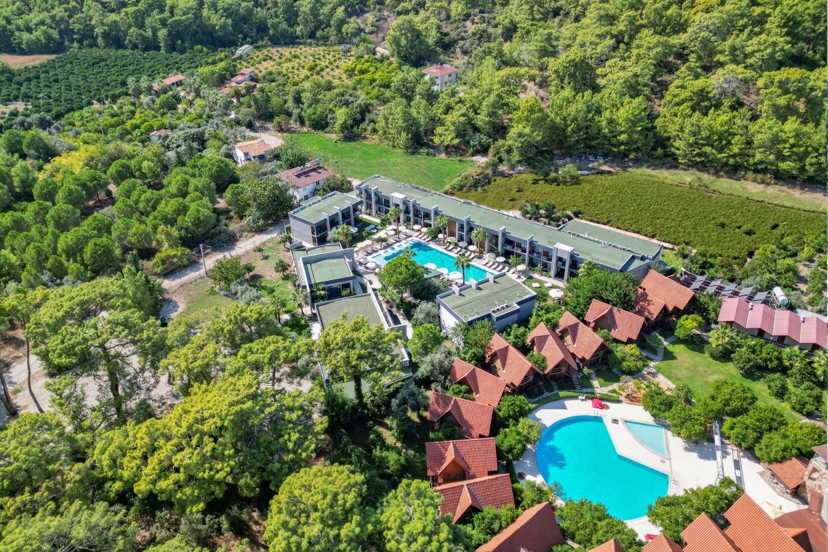 Forest Inn