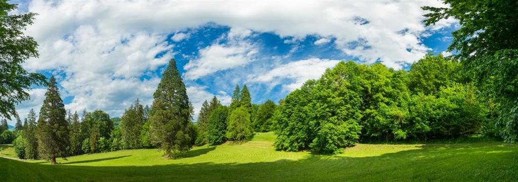 Wellness pobyt s dopravou a polopenzí v ceně v hotelu Zdraviliški Dvor