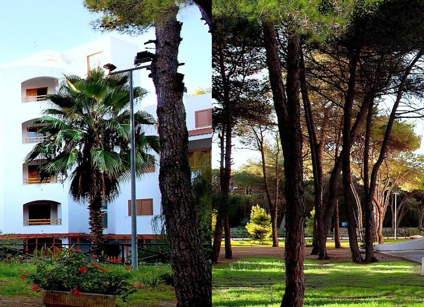 Gh Campoverde Village