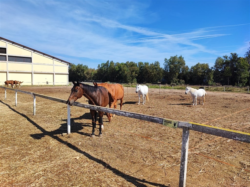 Horse Country Resort & Spa