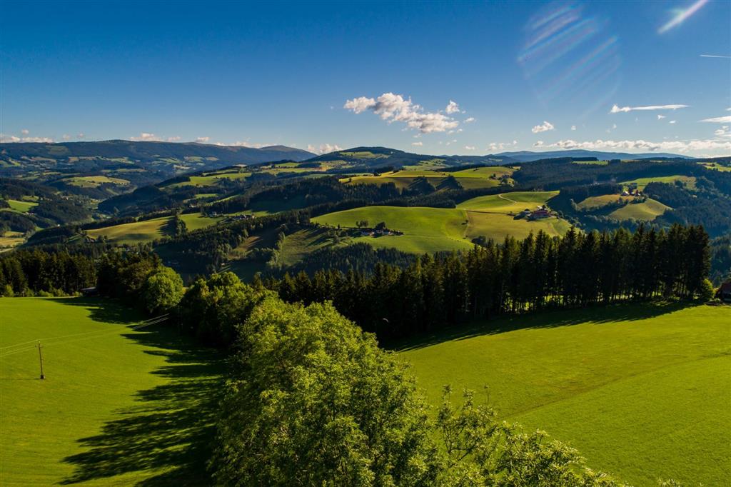Hotel Der Almblick