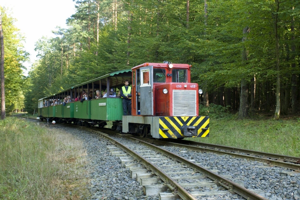 Termálpanzió
