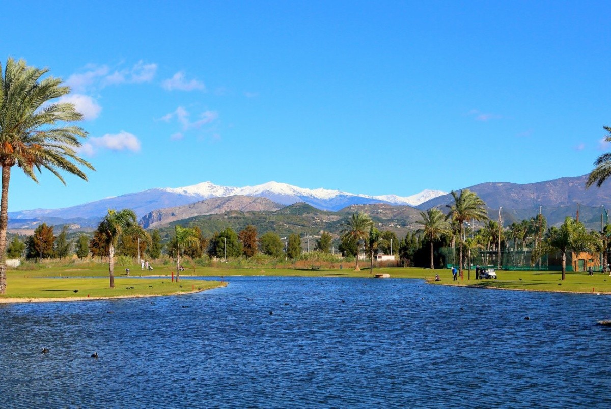 Impressive Playa Granada Golf