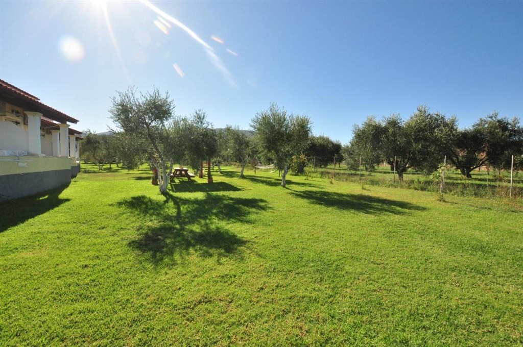 Studia Libertys (Almyros)