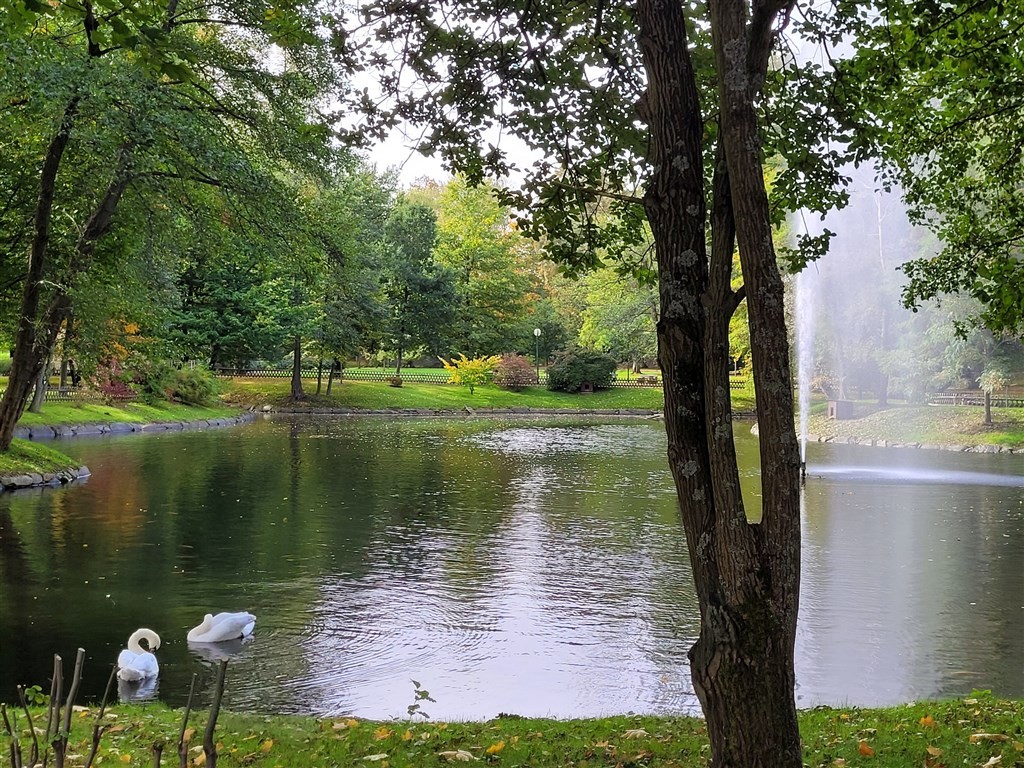 Parkhotel Neustadt (Neustadt In Sachsen)