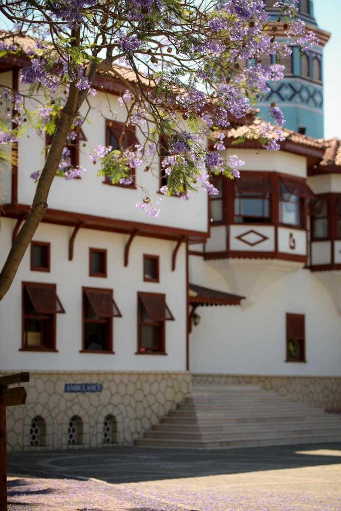 Ali Bey Club Park
