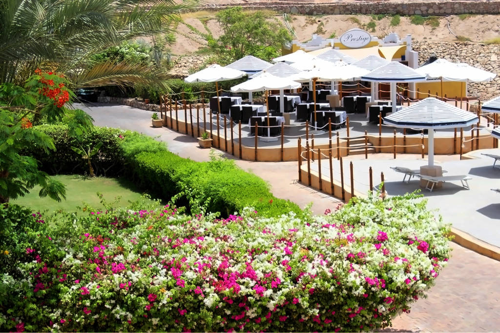 Domina Coral Bay Prestige