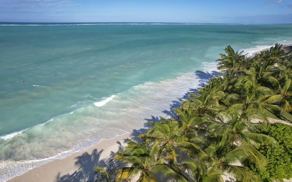 Tamu Tamu Zanzibar